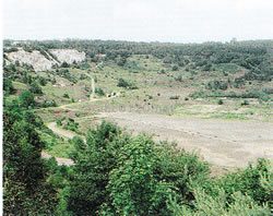 メッセル・ピットの化石遺跡（ドイツ世界遺産）