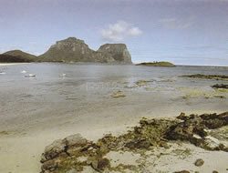 ロード・ハウ群島（オーストラリア世界遺産）
