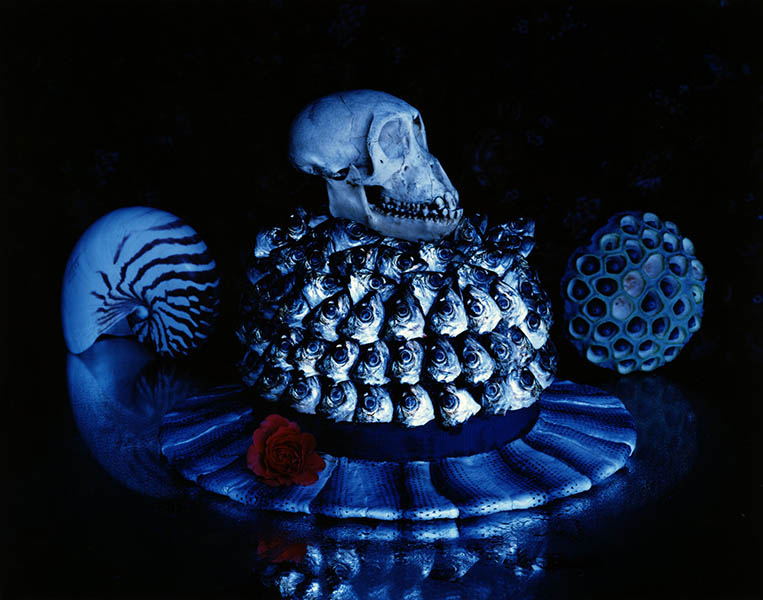 今道子《小鯵＋帽子＋髑髏》2002年 発色現像方式印画 作家蔵 ©Michiko Kon, Courtesy PGI