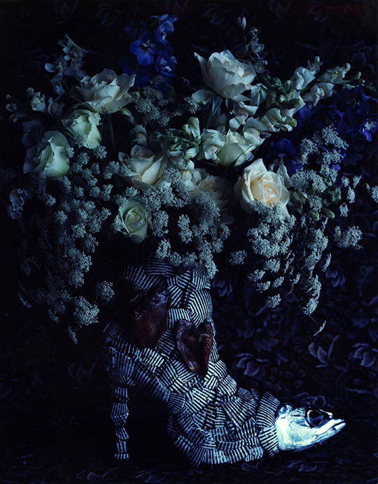 今道子《シマウマのブーツ》1996年 ポラロイド 作家蔵 ©Michiko Kon, Courtesy PGI