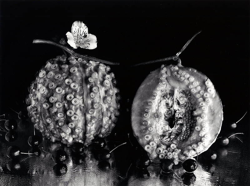 今道子《蛸＋メロン》1989年 ゼラチン・シルバー・プリント 作家蔵 ©Michiko Kon, Courtesy PGI