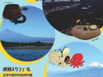 富士・沼津・三島３市博物館共同企画展「採る・捕る・獲る　ー富士・沼津・三島の狩猟と採集ー」富士山かぐや姫ミュージアム