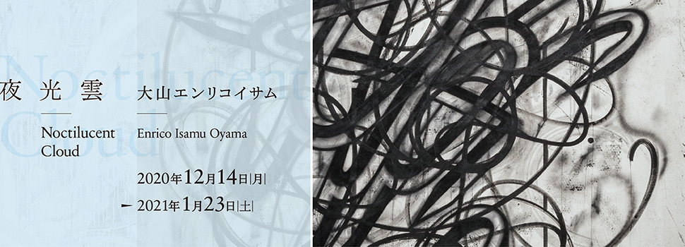 「大山エンリコイサム展　夜光雲」神奈川県民ホールギャラリー