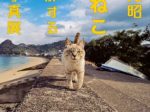 「岩合光昭　いよねこ　猫と旅する写真展」愛媛県美術館