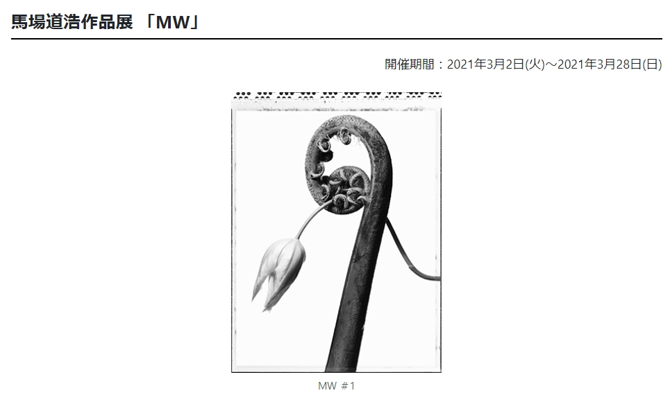 「馬場道浩作品展 「MW」」日本カメラ博物館