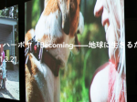 「グスタフソン＆ハーポヤ　Becoming—地球に生きるための提案」京都市立芸術大学ギャラリー@KCUA（アクア）