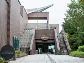 ミュージアムパーク 茨城県自然博物館-大崎-坂東市-茨城県