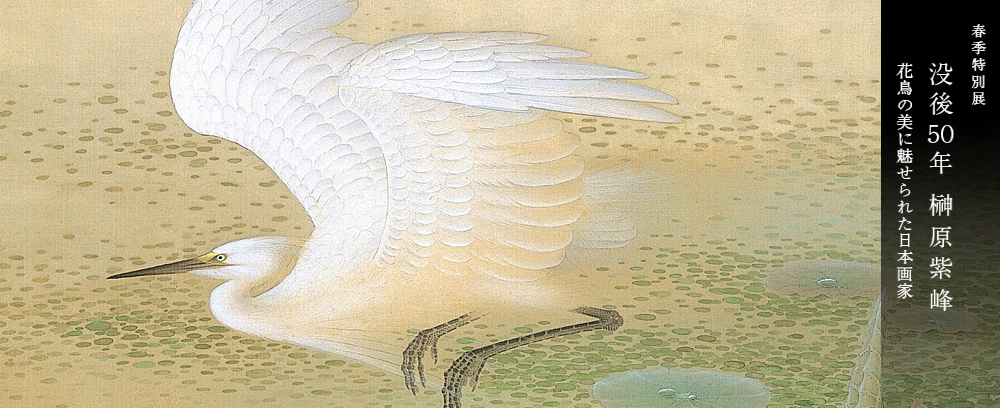 「没後50年 榊原紫峰　花鳥の美に魅せられた日本画家」足立美術館