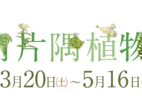 「すき間片隅植物図鑑」群馬県立自然史博物館