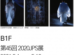 「第45回 2020JPS展」東京都写真美術館