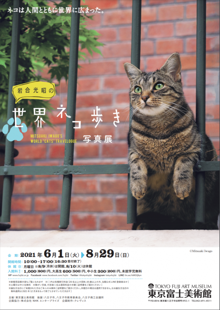 写真展「岩合光昭の世界ネコ歩き」東京富士美術館