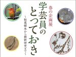 「学芸員のとっておき ～秘蔵標本から最新研究まで～」島根県立三瓶自然館サヒメル