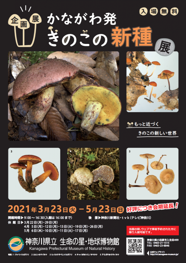 企画展「かながわ発　きのこの新種展」神奈川県立生命の星・地球博物館