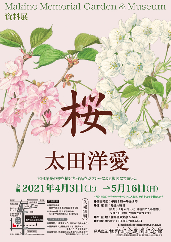 資料展「桜　太田洋愛」牧野記念庭園記念館