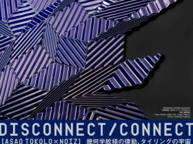 「DISCONNECT/CONNECT 【ASAO TOKOLO×NOIZ】幾何学紋様の律動、タイリングの宇宙」INAXライブミュージアム