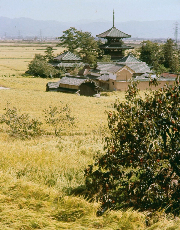 聖徳太子没後1400年　入江泰吉×工藤利三郎「斑鳩」入江泰吉記念奈良市写真美術館