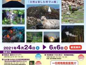 第４１回「ＳＳＰ展～自然を楽しむ科学の眼～」宮崎県総合博物館