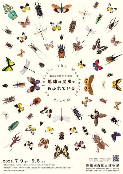 第35回特別企画展「地球は昆虫であふれている」豊橋市自然史博物館