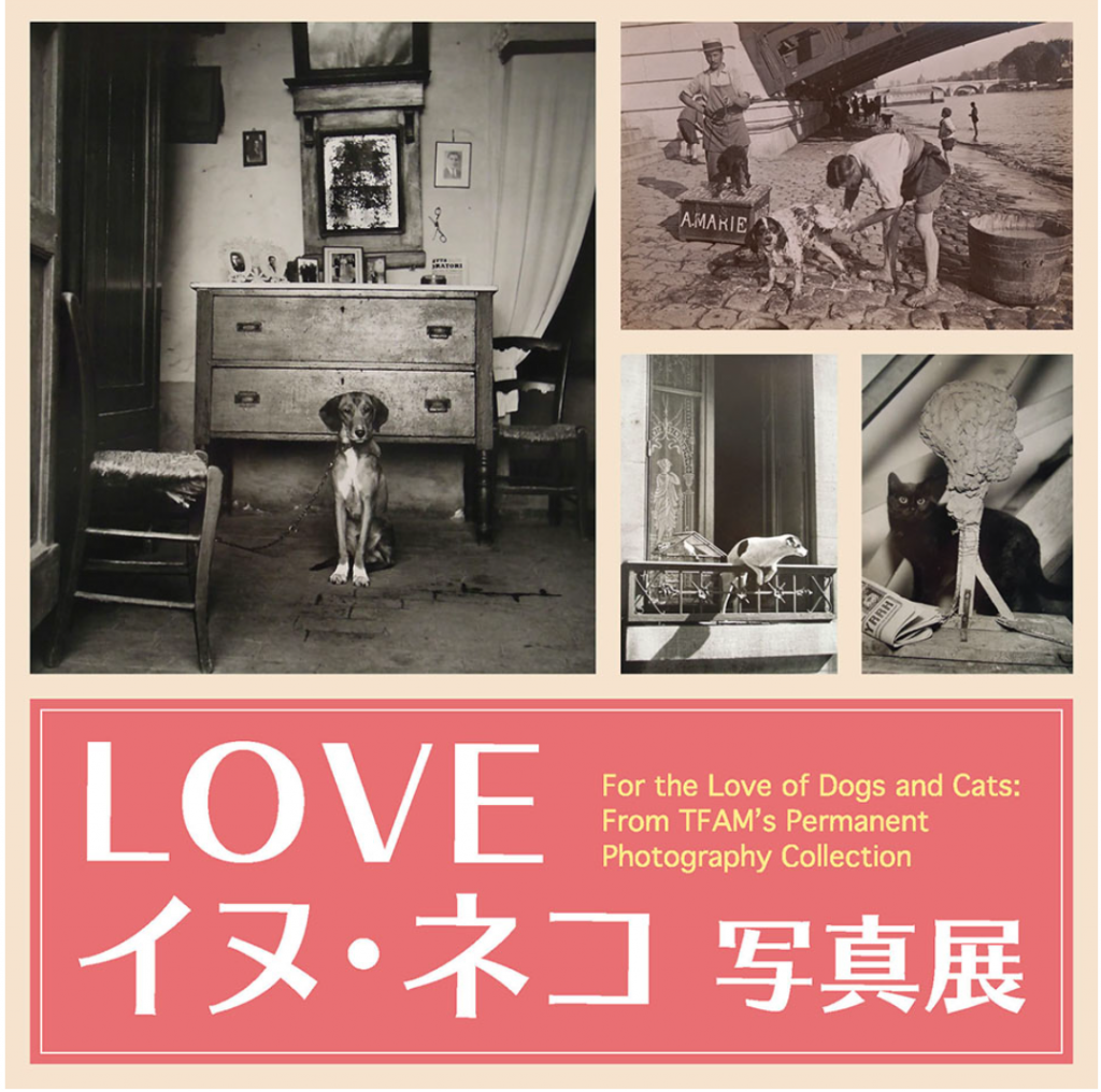 「LOVE イヌ・ネコ 写真展」東京富士美術館