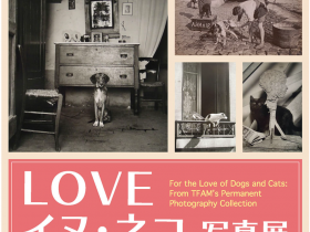 「LOVE イヌ・ネコ 写真展」東京富士美術館