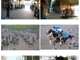 企画展「馬にかかわるいろいろなおしごと～競走馬を支える厩舎スタッフ～」JRA競馬博物館
