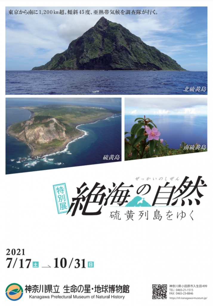 特別展「絶海の自然 ―硫黄列島をゆく―」神奈川県立生命の星・地球博物館