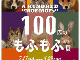 企画展「１００匹のもふもふ展～石川の動物と剥製標本～」小松市立博物館