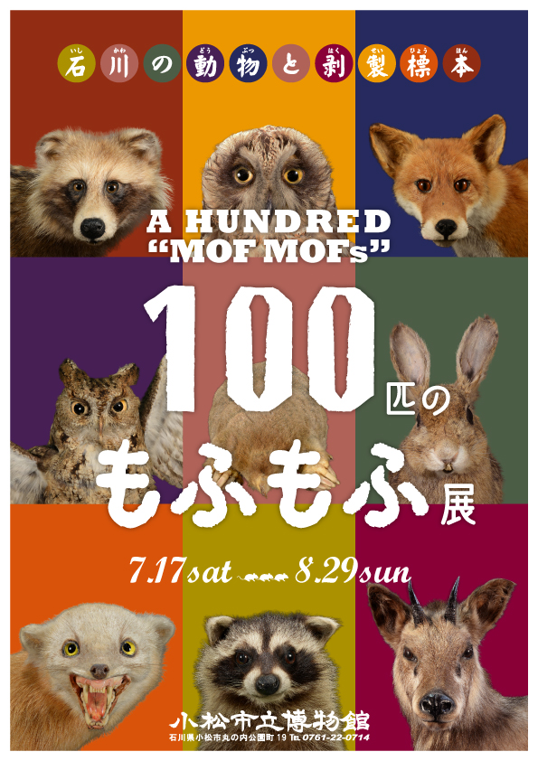 企画展「１００匹のもふもふ展～石川の動物と剥製標本～」小松市立博物館