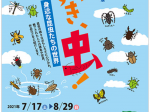 企画展「だいすき、虫！ ‐ 身近な昆虫たちの世界」美濃加茂市民ミュージアム