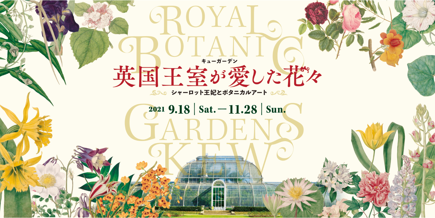 キューガーデン 英国王室が愛した花々 シャーロット王妃とボタニカルアート」東京都庭園美術館