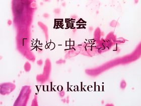 CCC公募展 入選者展覧会「染め-虫-浮ぶ 筧有子展」CCC - 静岡市文化・クリエイティブ産業振興センター