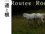 TOKAS Project Vol. 4「道と根　Routes/Roots」トーキョーアーツアンドスペース本郷
