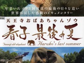 「ウィークエンド・シネマ11月「天王寺おばあちゃんゾウ　春子　最後の夏」」ピースおおさか（大阪国際平和センター）