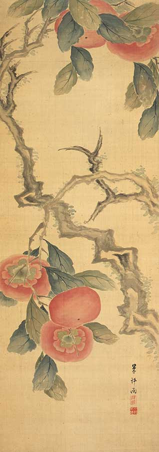高橋草坪筆 「台柿図」 文政12年（1829） 【前期展示