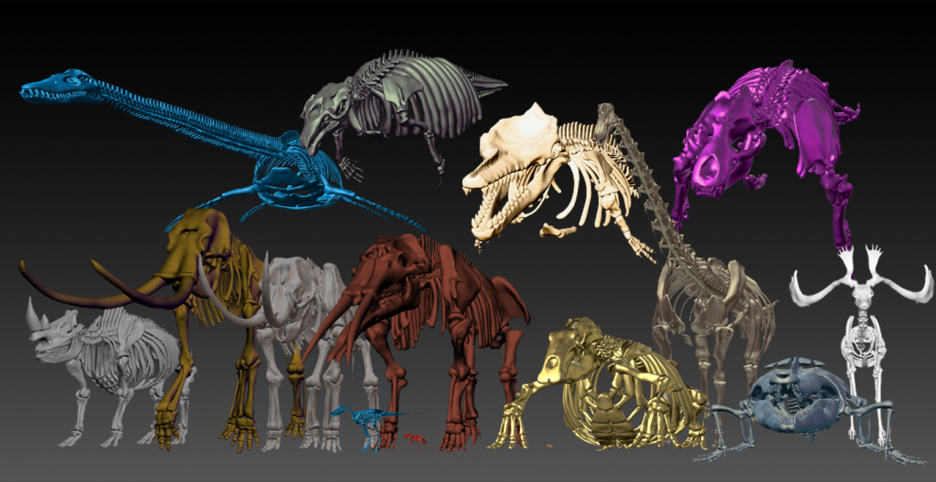 「3D骨格でよみがえる日本の古生物展」平山郁夫シルクロード美術館