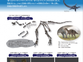 「特別企画展「北海道の恐竜」（2021年2月12日〜3月14日開催）の、オンライン公開」北海道博物館