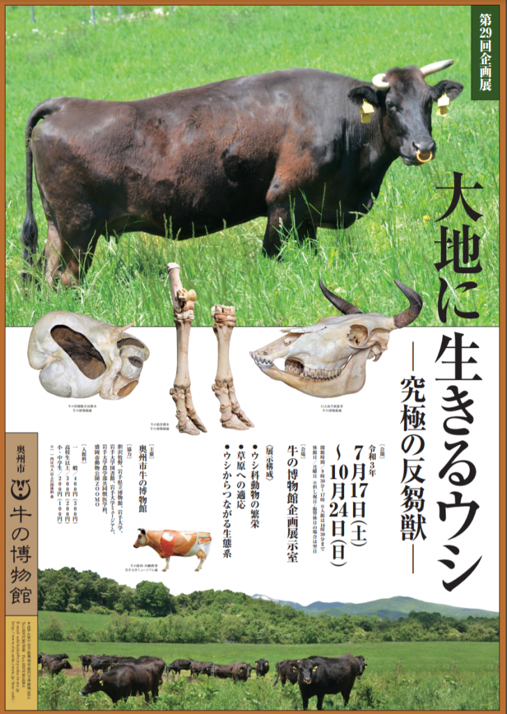 第29回企画展「大地に生きるウシ ―究極の反芻獣―」牛の博物館