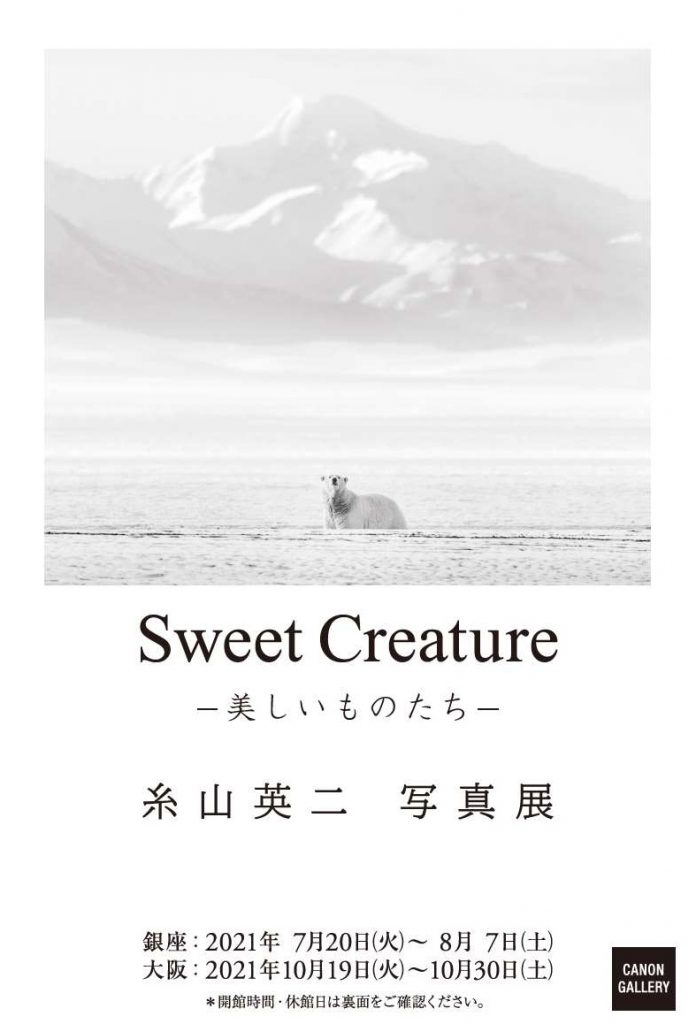 「糸山 英二 写真展：Sweet Creature ー美しいものたちー」キヤノンギャラリー大阪