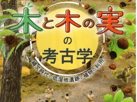 「木と木の実の考古学～縄文時代の低湿地遺跡と植物の利用～」栃木県立博物館