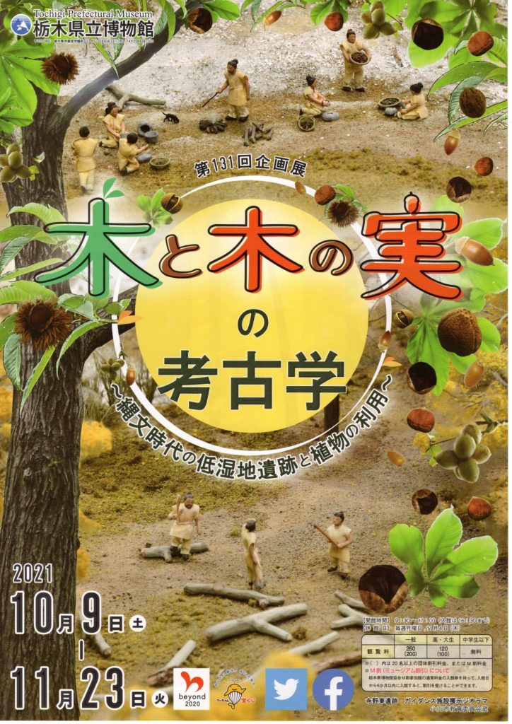 「木と木の実の考古学～縄文時代の低湿地遺跡と植物の利用～」栃木県立博物館