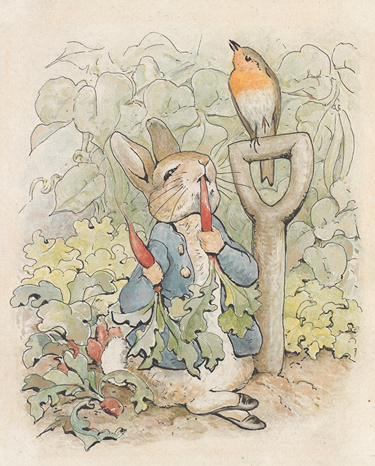 《『ピーターラビットのおはなし』挿絵用の原画》1902年 フレデリック・ウォーン社