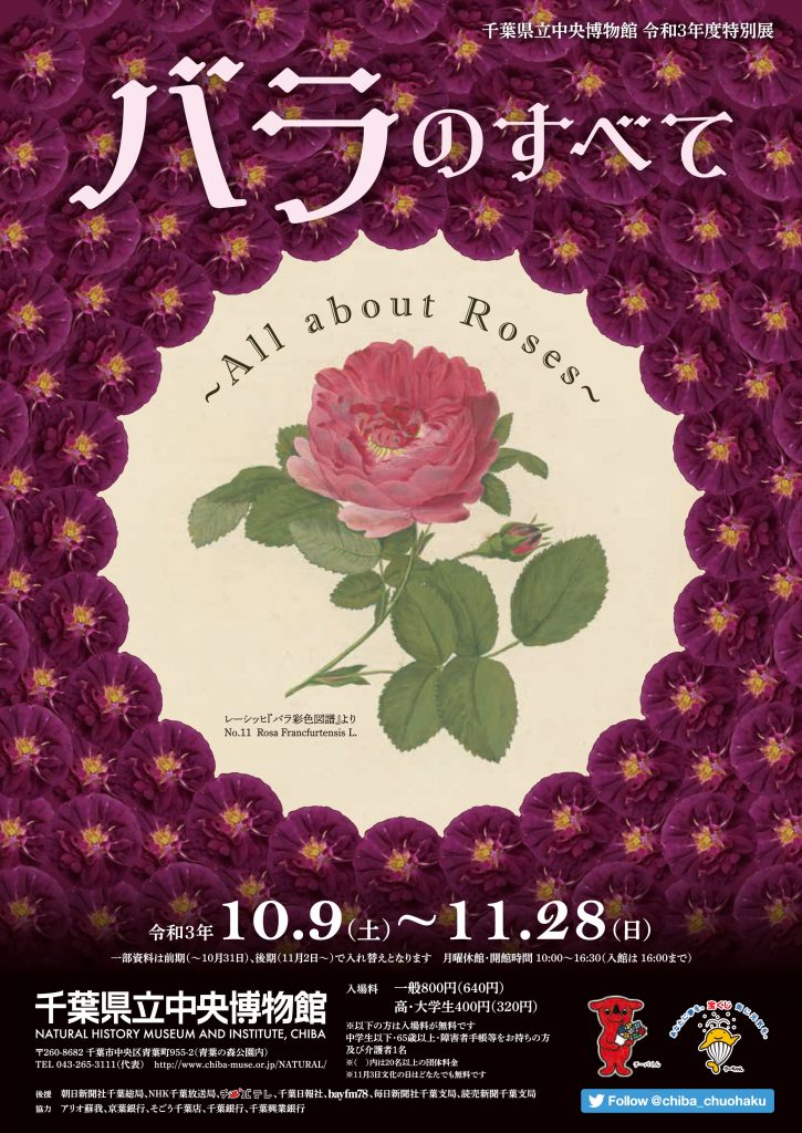 特別展「バラのすべて」千葉県立中央博物館