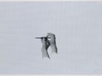 木村秀樹《Pencil 2-3》1974年　京都市美術館蔵