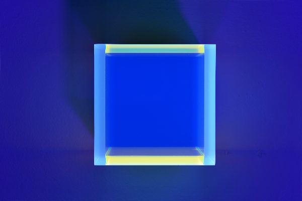 「レギーネ・シューマン展　immersion in fluorescent light」日本橋三越本店