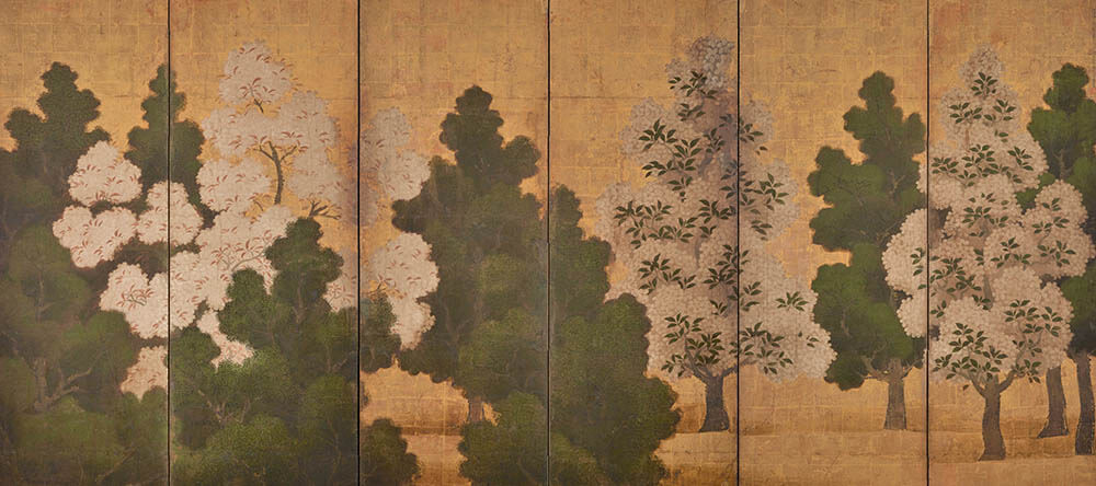 《桜に杉図屏風（左隻）》桃山時代・16 世紀、6 曲 1 双