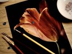大町憲治 写真展 蒔絵師の視点Part Ⅳ「ー融合ー」京都写真美術館 ギャラリー・ジャパネスク