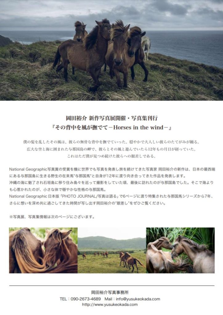 岡田裕介 写真展「その背中を風が撫でて-Horses in the wind-」京都写真美術館 ギャラリー・ジャパネスク