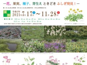 「北アルプス誕生とそこに息づく高山植物のものがたり-花、果実、種子、芽生え、ときどきふしぎ発見！-」大町山岳博物館