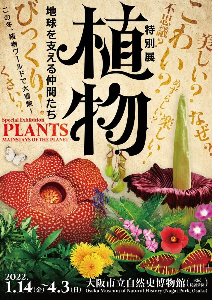 特別展「植物　地球を支える仲間たち」大阪市立自然史博物館