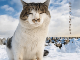 企画展「土肥美帆写真展 北に生きる猫」市立小樽文学館